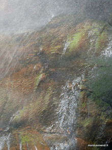 Chutes d'Iguazu -Argentine